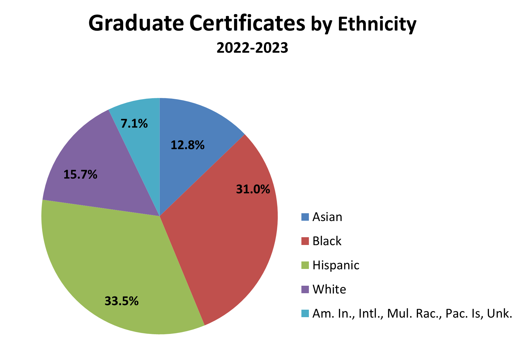 graduate certificates by ethnicity pie chart