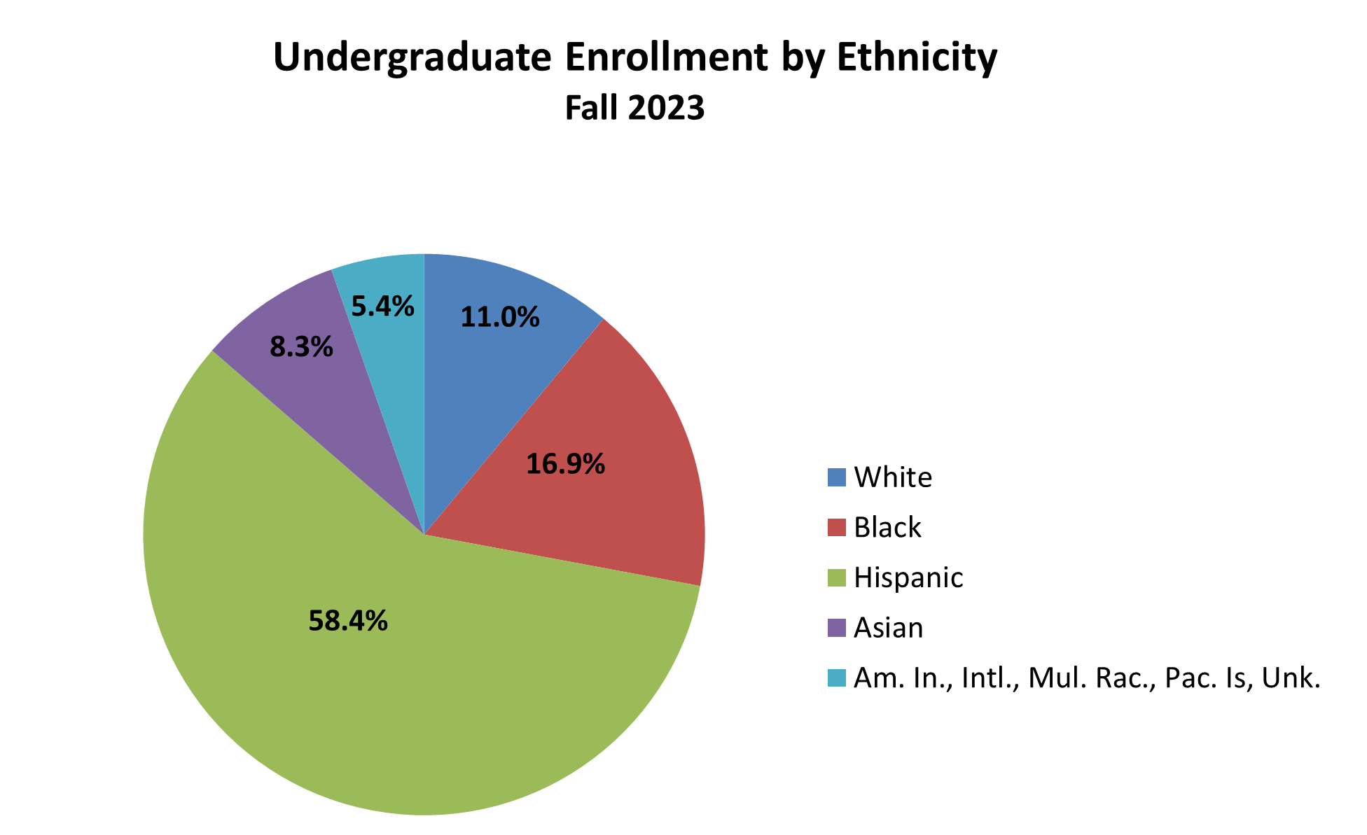 Undergraduate by ethnicity pie chart