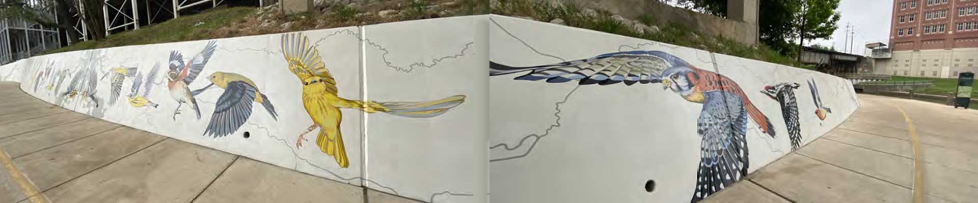 Houston area wild life murals