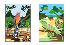 Endangered Species Card - bird and lizard by Cynthia Rojas