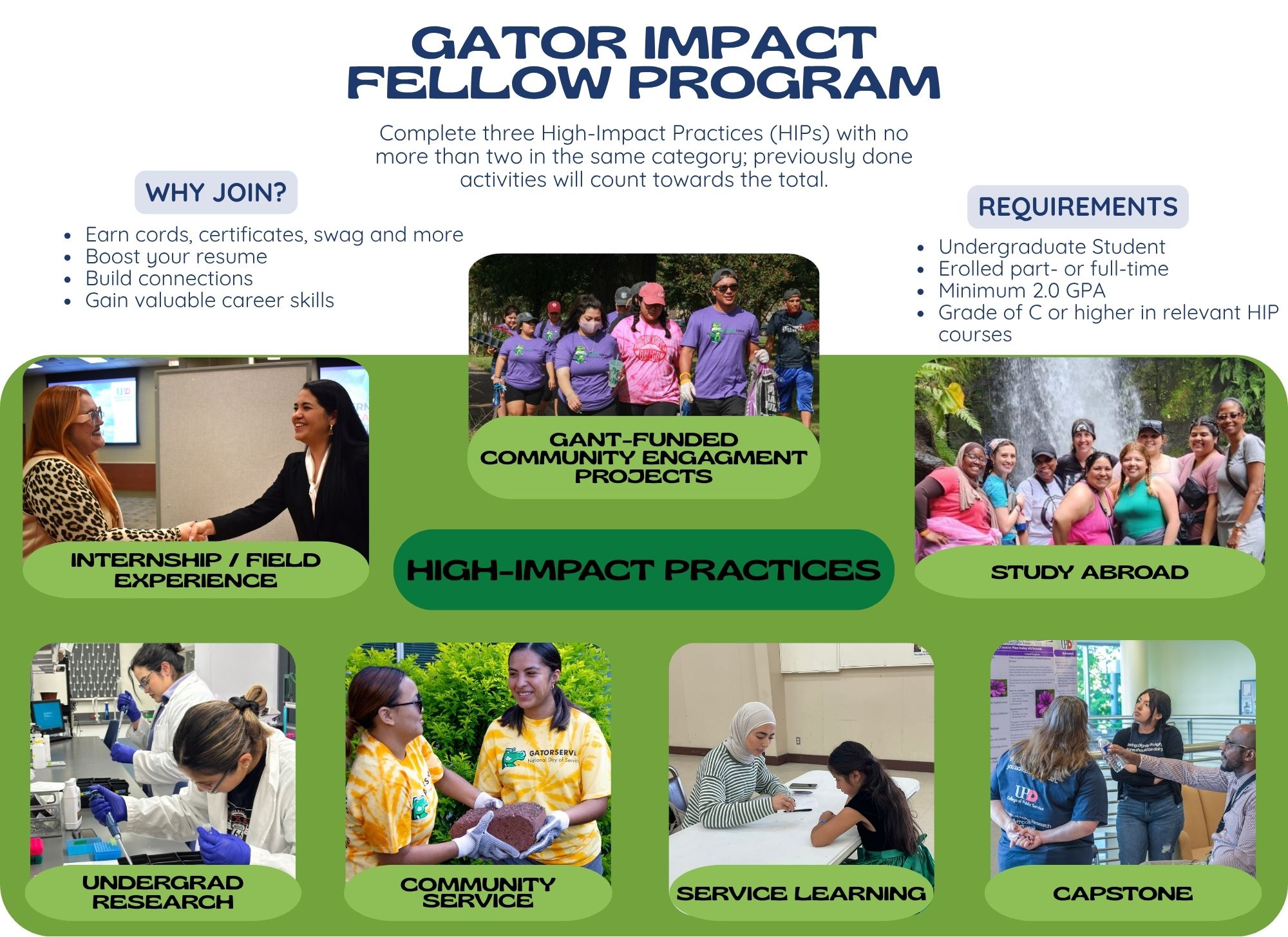 Gator impact fellowship flyer