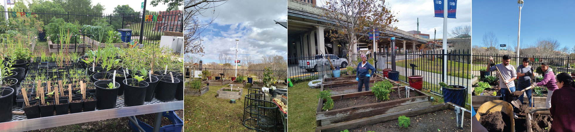 UHD Garden Collage, (potted plants, fencing, people laying soil)