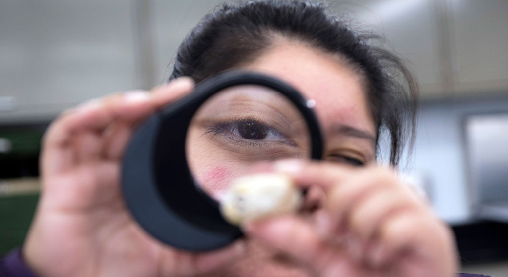 woman looking through a magnifying glass at a rock or mineral.