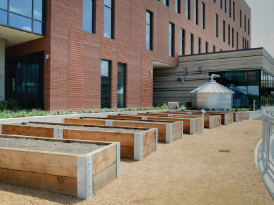 Center for Urban Agriculture and Sustainability