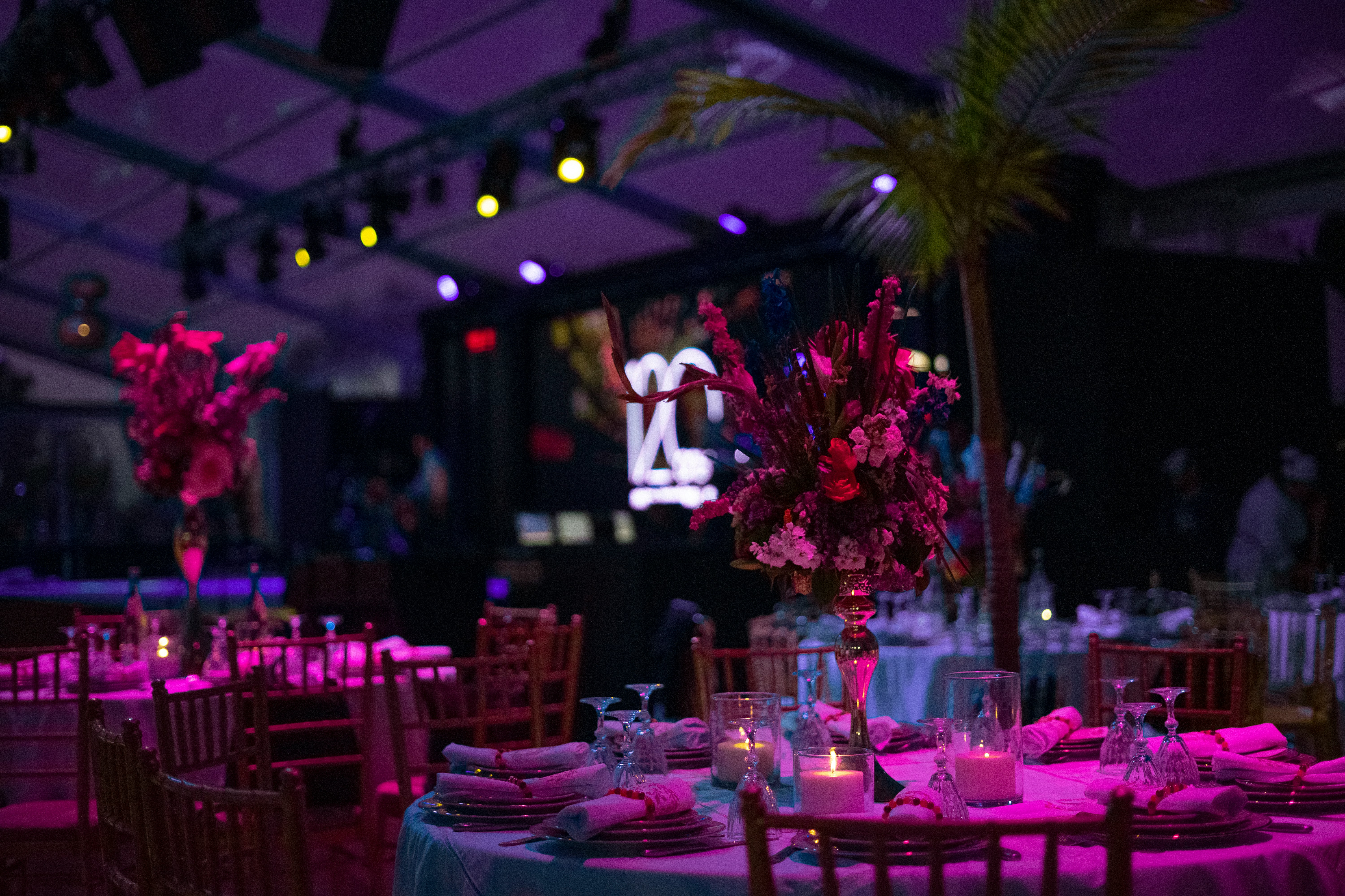 table set with palm tree and purple light