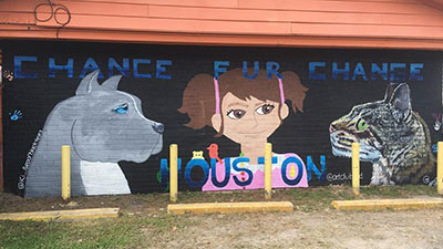 Chance Fur Change mural