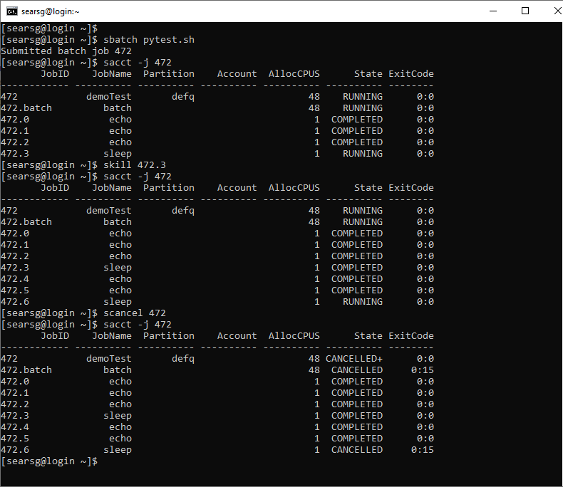 text inside terminal