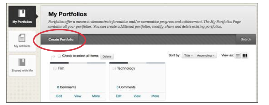 a screen shot of the Create Portfolio button circled in red
