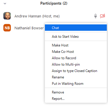 participants controls during a meeting