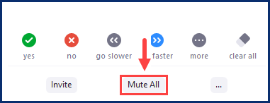 the Mute All button during a meeting