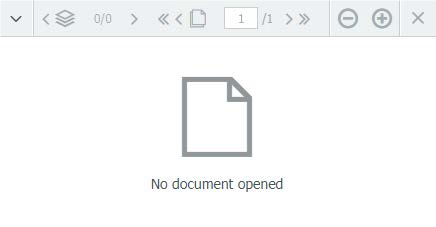 a screenshot of the document window