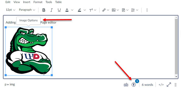 Canvas Rich Text Editor with arrows pointing to Image Options and Accessibility Checker