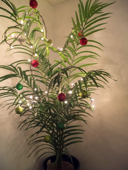 plant with ornaments and lights