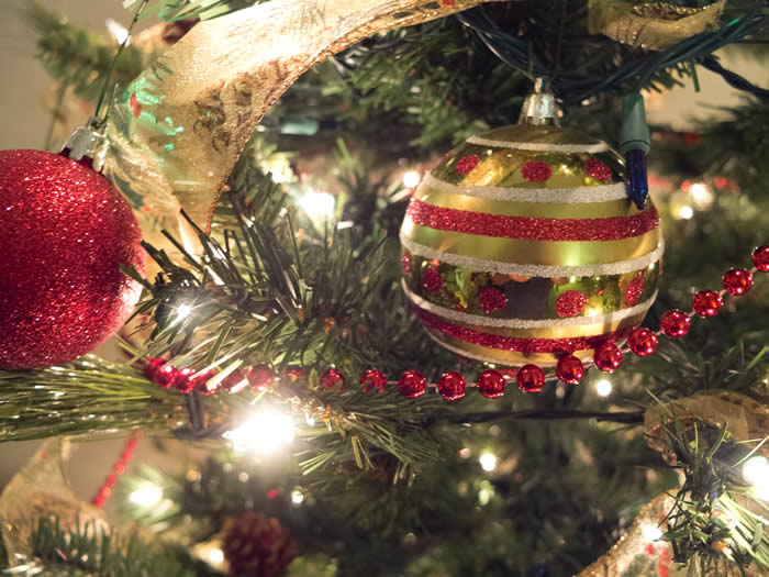 ornaments on a tree