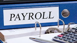payroll resources graphic