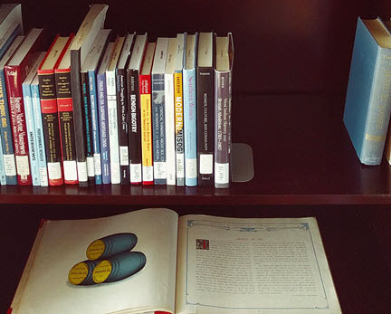 A row of books on a shelf with an open book below them