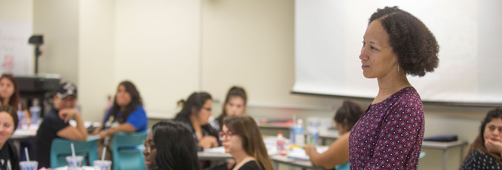 Goal D Banner: Faculty member teaching.