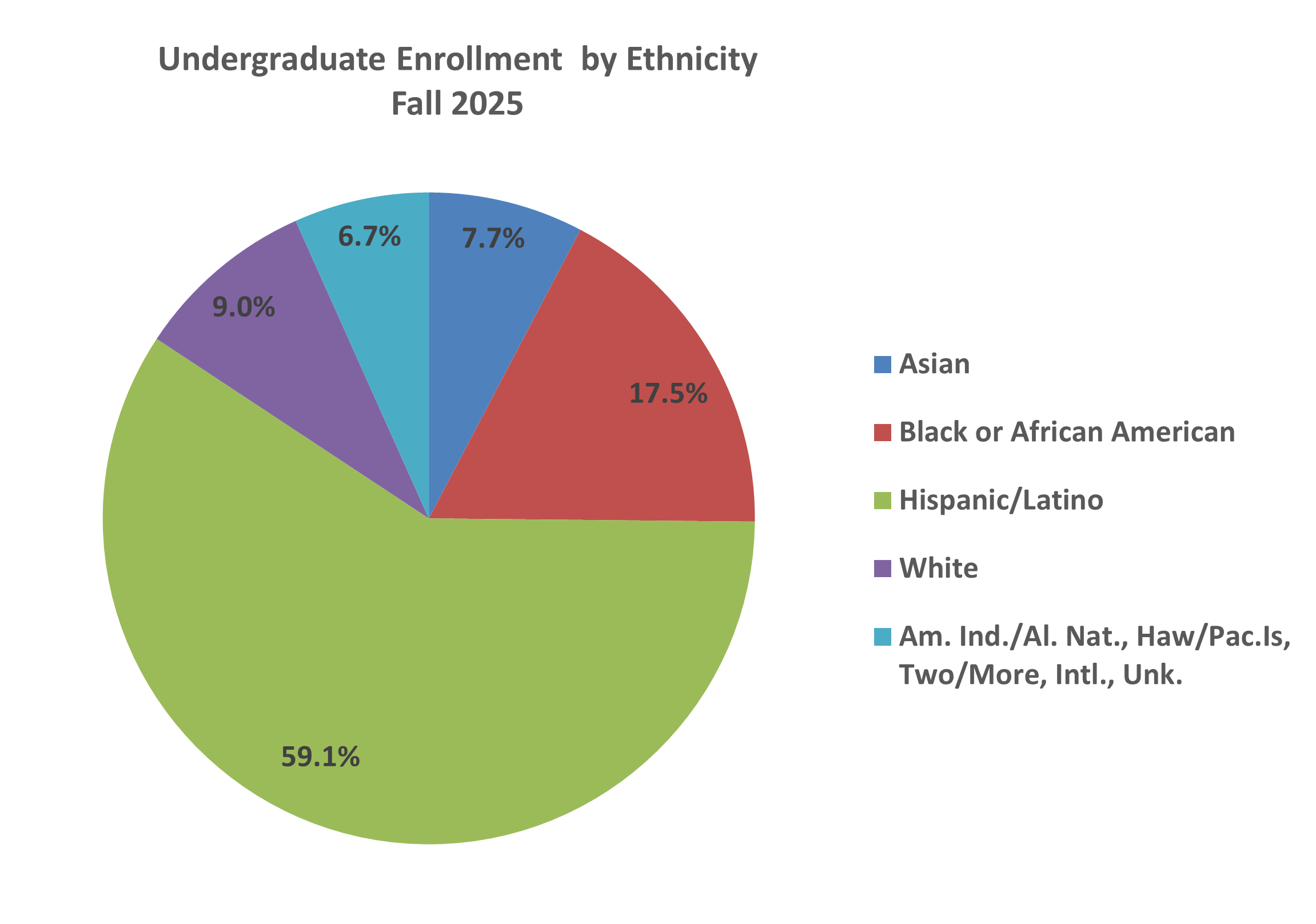 Undergraduate by ethnicity pie chart