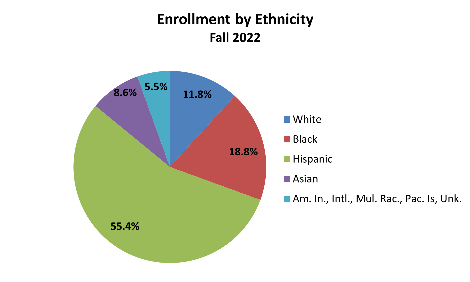 Enrollment by ethnicity pie chart