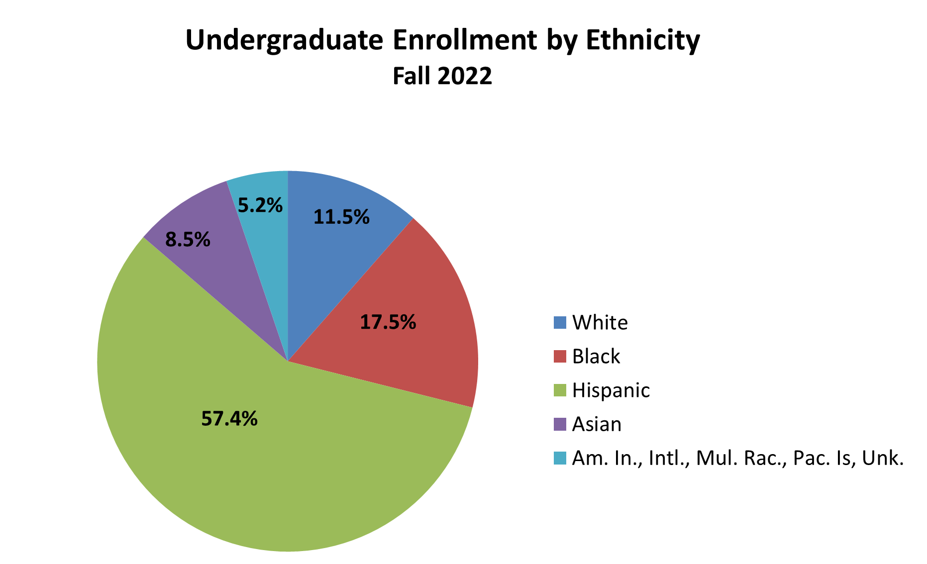 Undergraduate by ethnicity pie chart