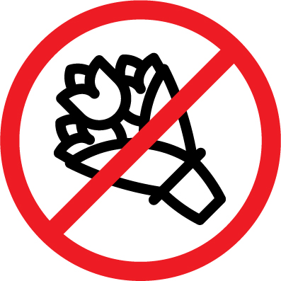 No Flowers No Flowers