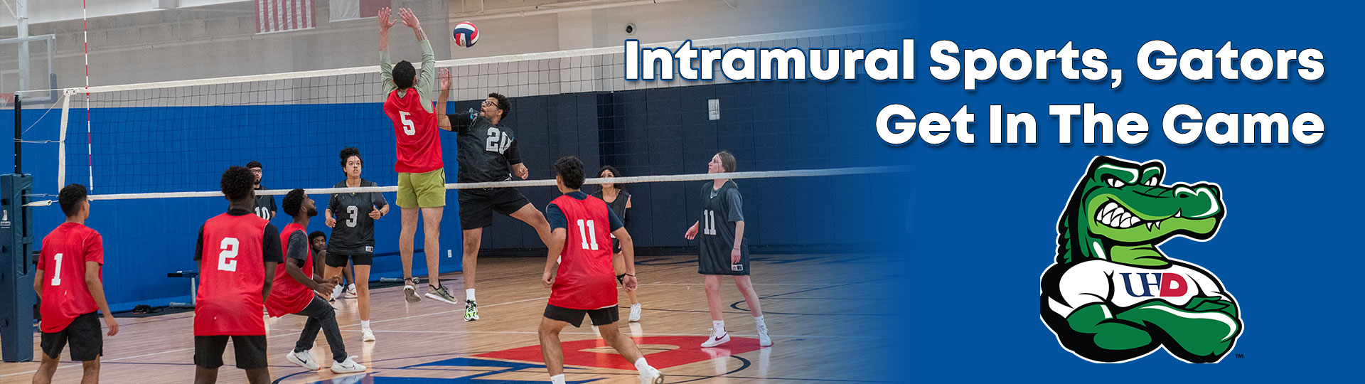 IM Sports banner