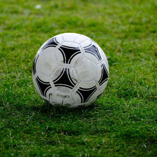 A soccer ball in the grass